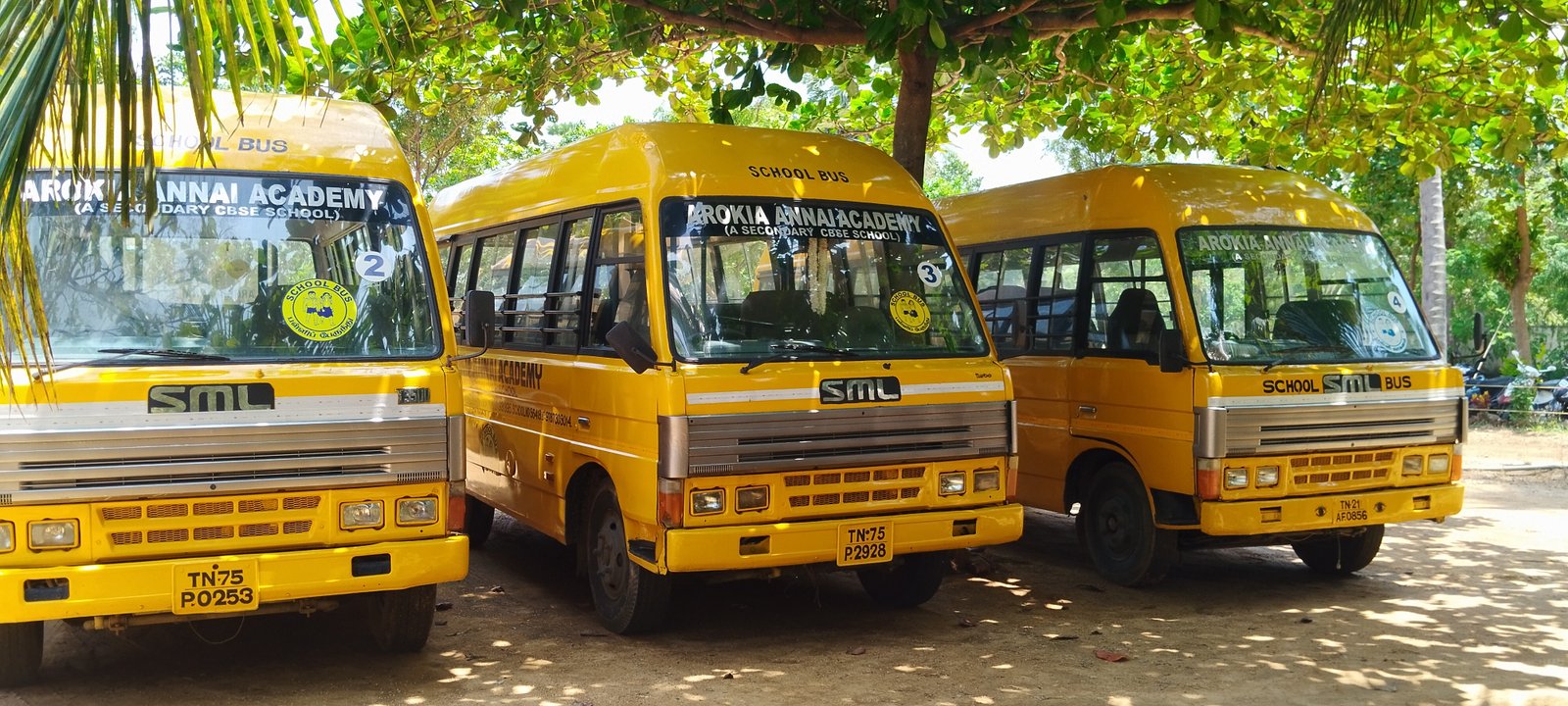 Transport
